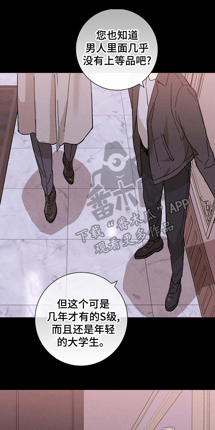 《与男人结婚》漫画最新章节第104章： 【第二季】上等新品免费下拉式在线观看章节第【13】张图片