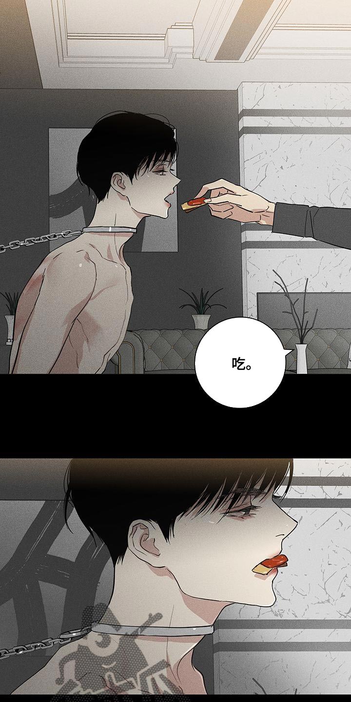 《与男人结婚》漫画最新章节第162章：【第二季】太莽撞了免费下拉式在线观看章节第【13】张图片