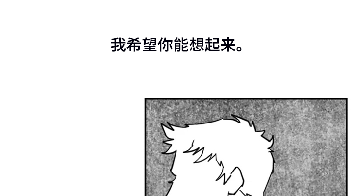 《独行舞者》漫画最新章节第54章：最后的表演？免费下拉式在线观看章节第【3】张图片