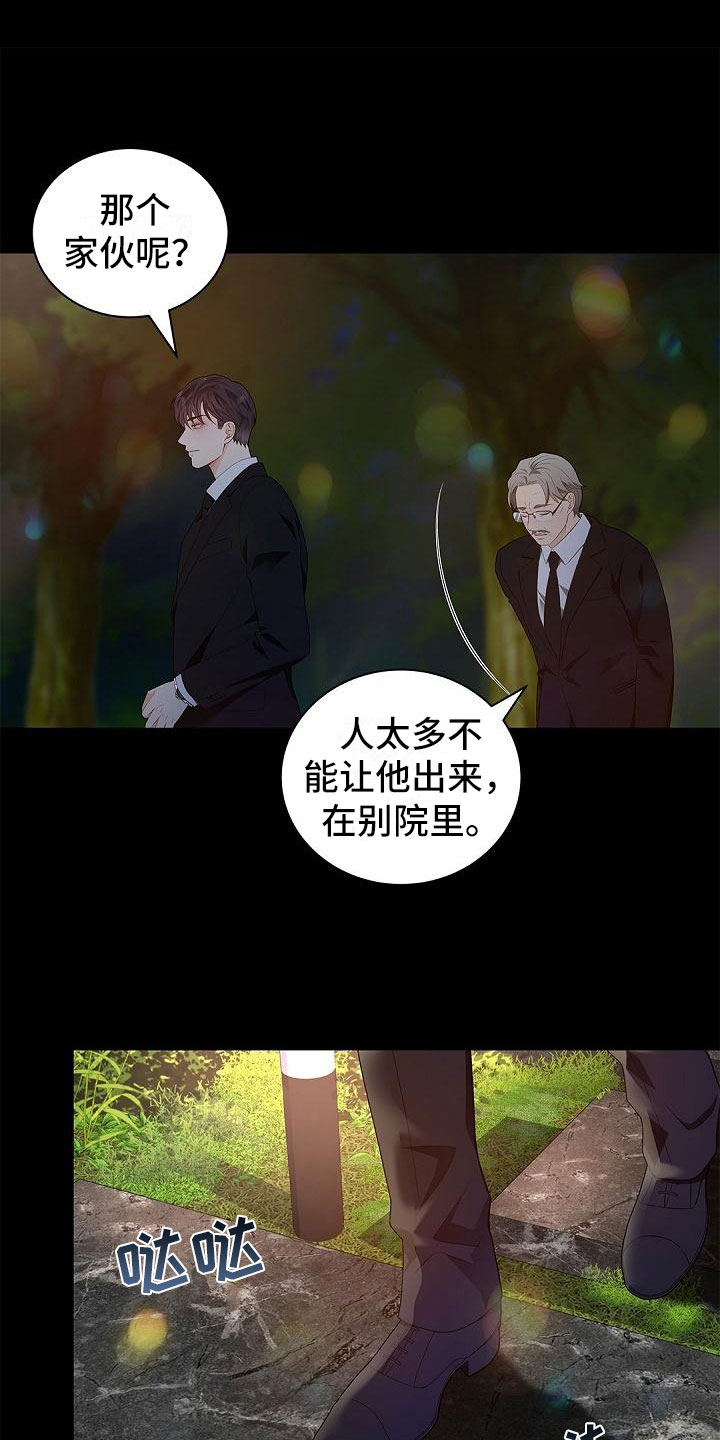 《偷心情狐》漫画最新章节第1章：奇妙的世界免费下拉式在线观看章节第【5】张图片