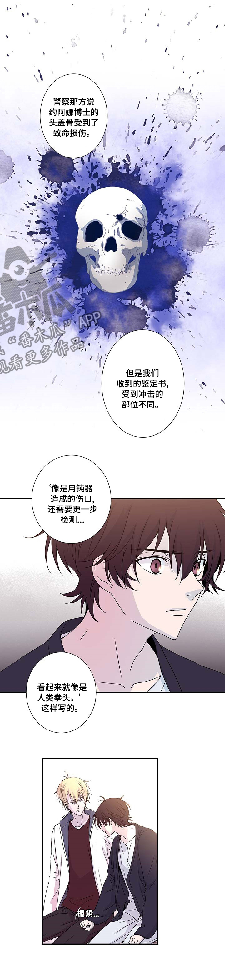 《奇美拉之心》漫画最新章节第13章：两份鉴定书免费下拉式在线观看章节第【2】张图片