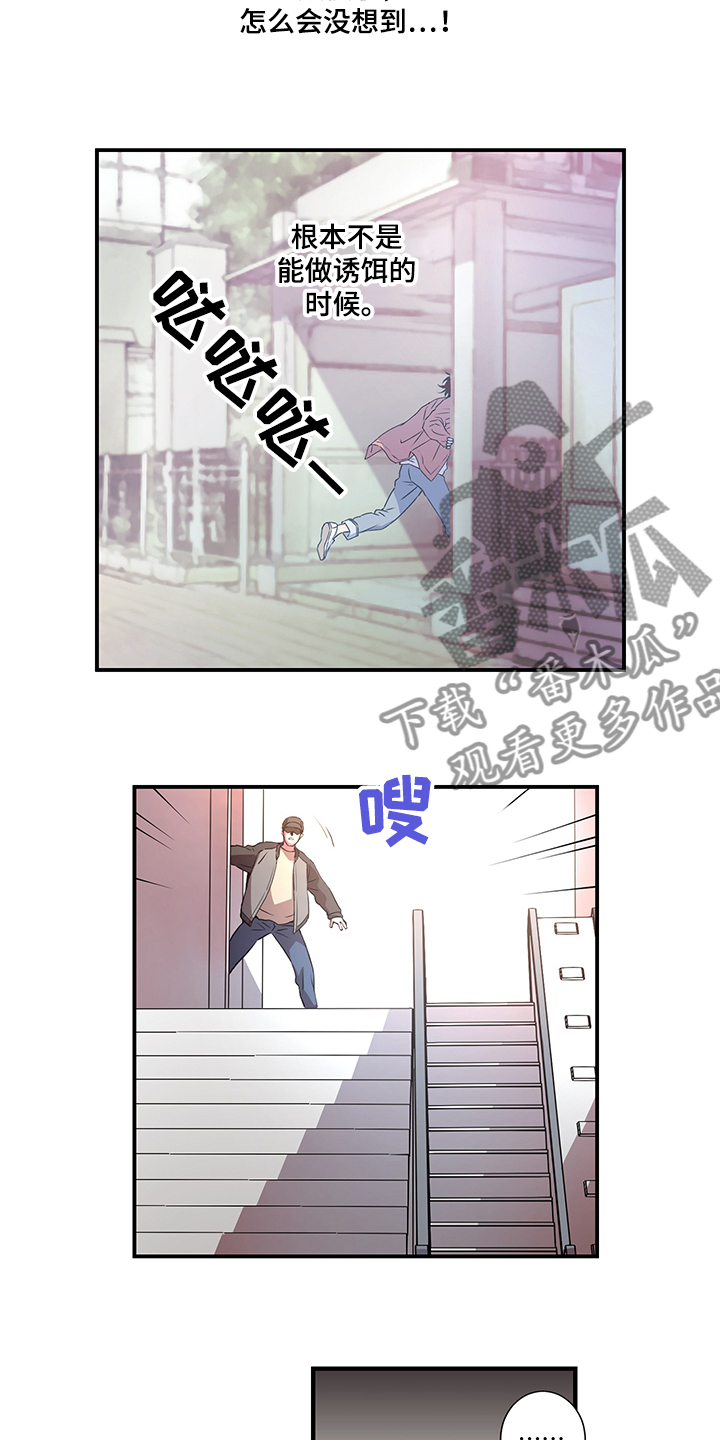 《奇美拉之心》漫画最新章节第31章：不能莽撞免费下拉式在线观看章节第【5】张图片