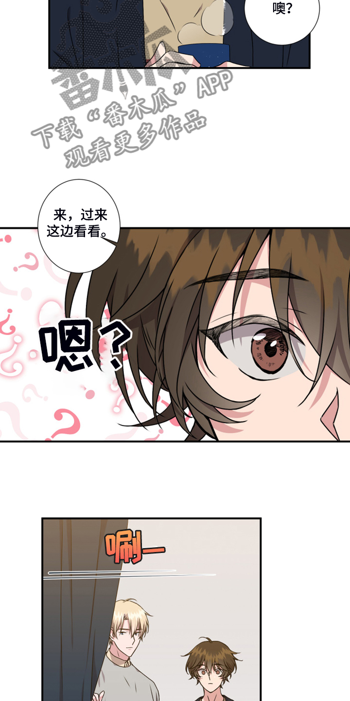 《奇美拉之心》漫画最新章节第54章：安全措施免费下拉式在线观看章节第【15】张图片