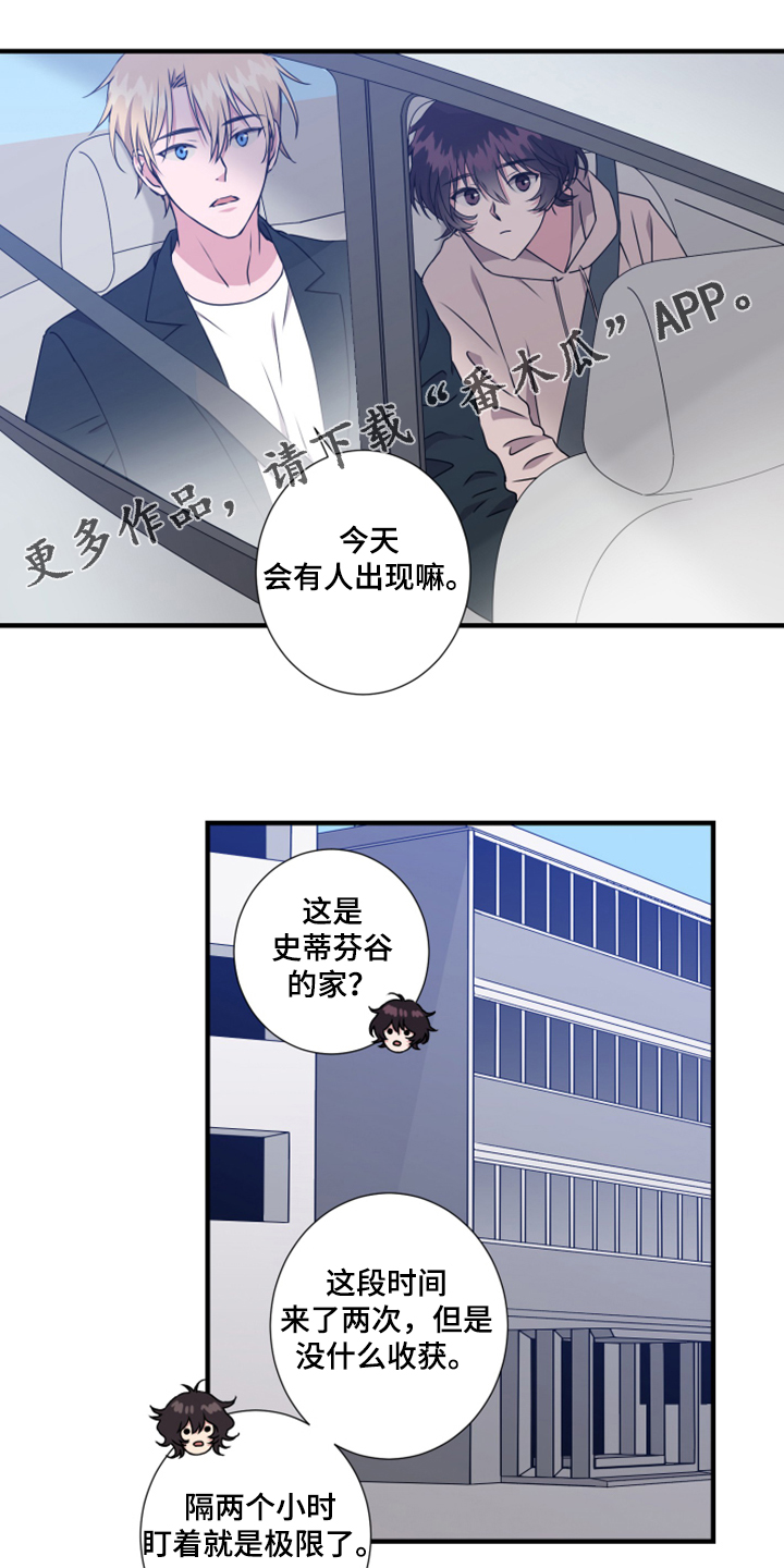 《奇美拉之心》漫画最新章节第57章：找准位置免费下拉式在线观看章节第【16】张图片