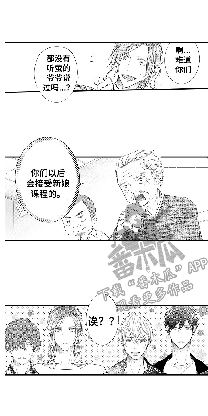 《新娘印记》漫画最新章节第4章：新娘候选人免费下拉式在线观看章节第【9】张图片