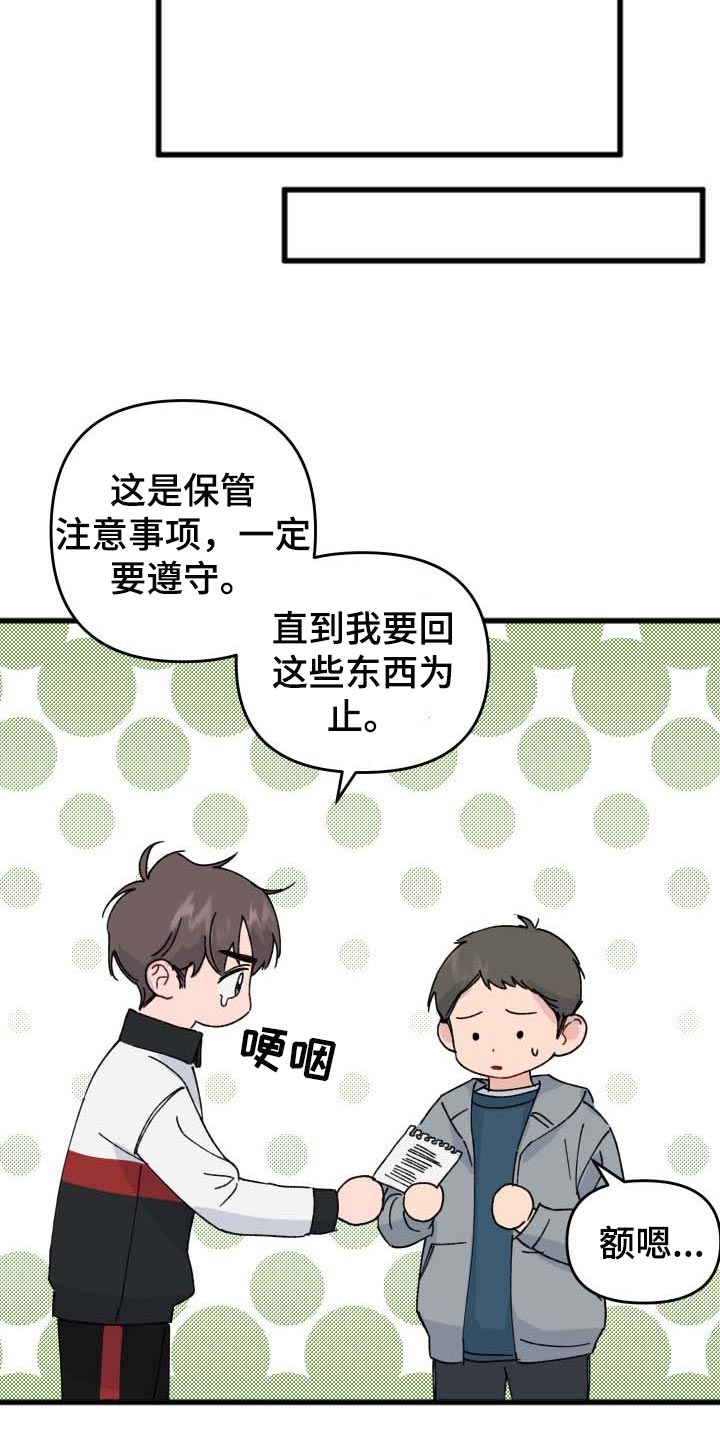 《真正的浪漫》漫画最新章节第38章：整理免费下拉式在线观看章节第【4】张图片