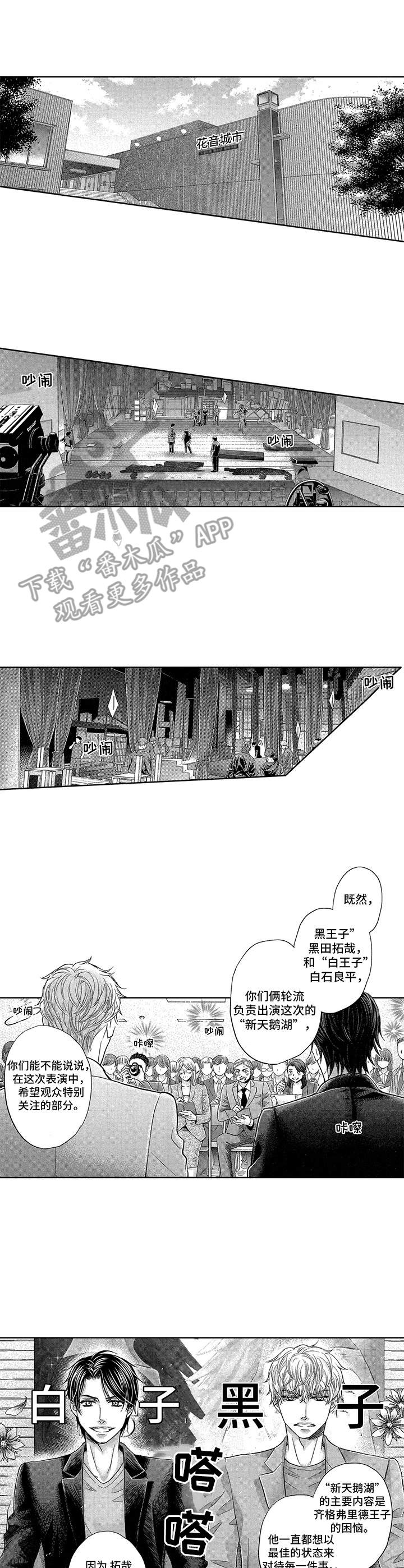 《芭蕾王子》漫画最新章节第12章：采访免费下拉式在线观看章节第【5】张图片