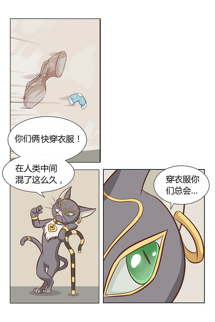 《喵即正义》漫画最新章节第1章：免费下拉式在线观看章节第【1】张图片