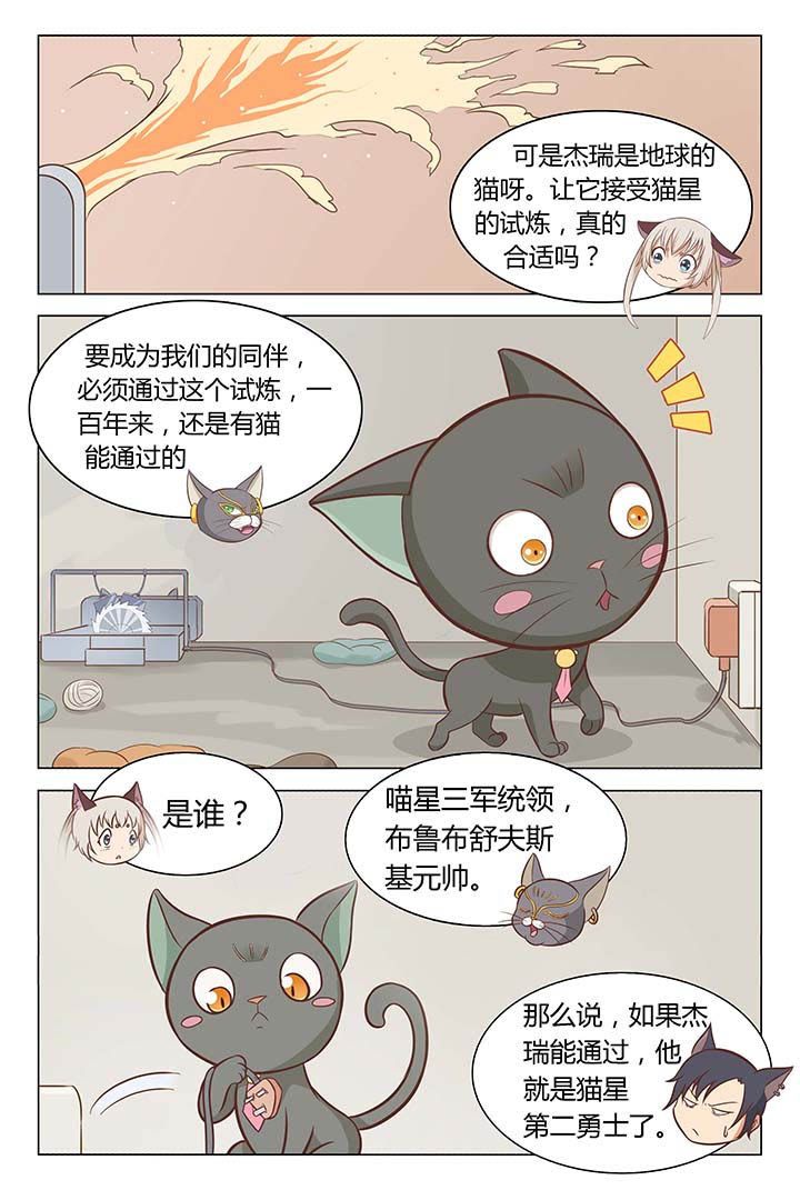 《喵即正义》漫画最新章节第5章：免费下拉式在线观看章节第【2】张图片