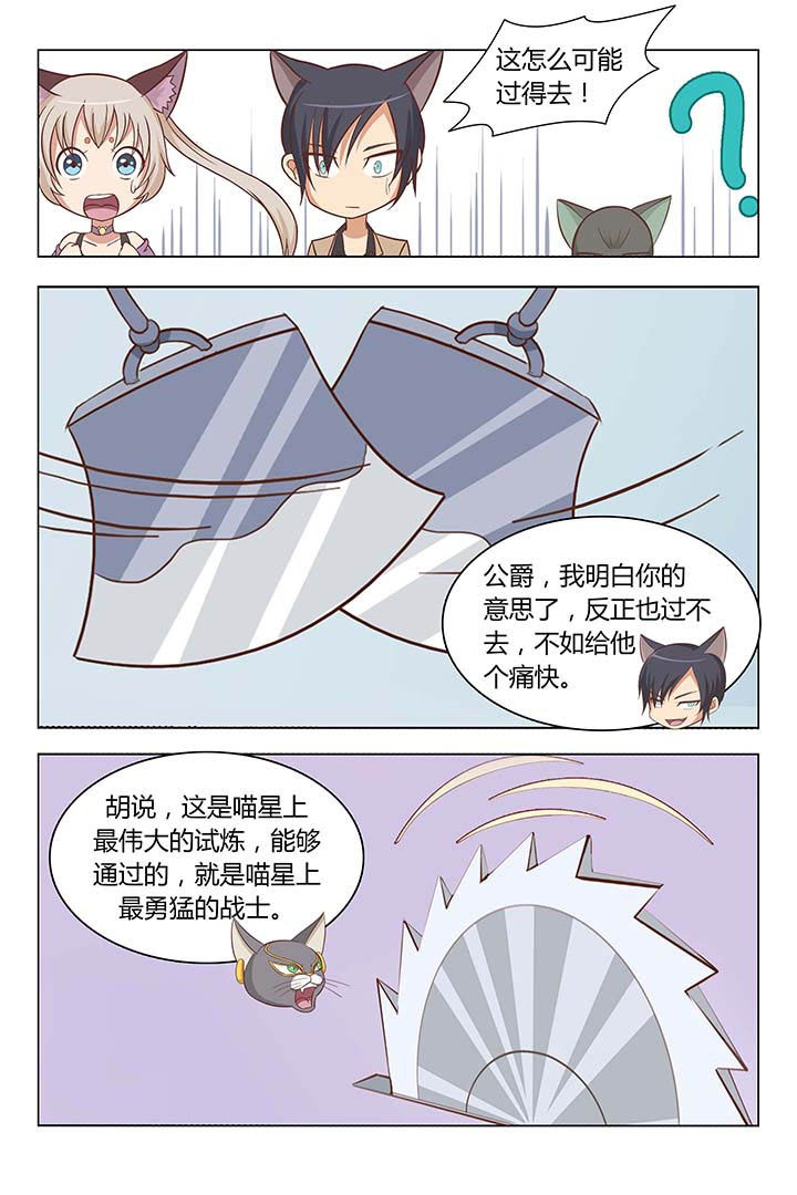 《喵即正义》漫画最新章节第5章：免费下拉式在线观看章节第【3】张图片