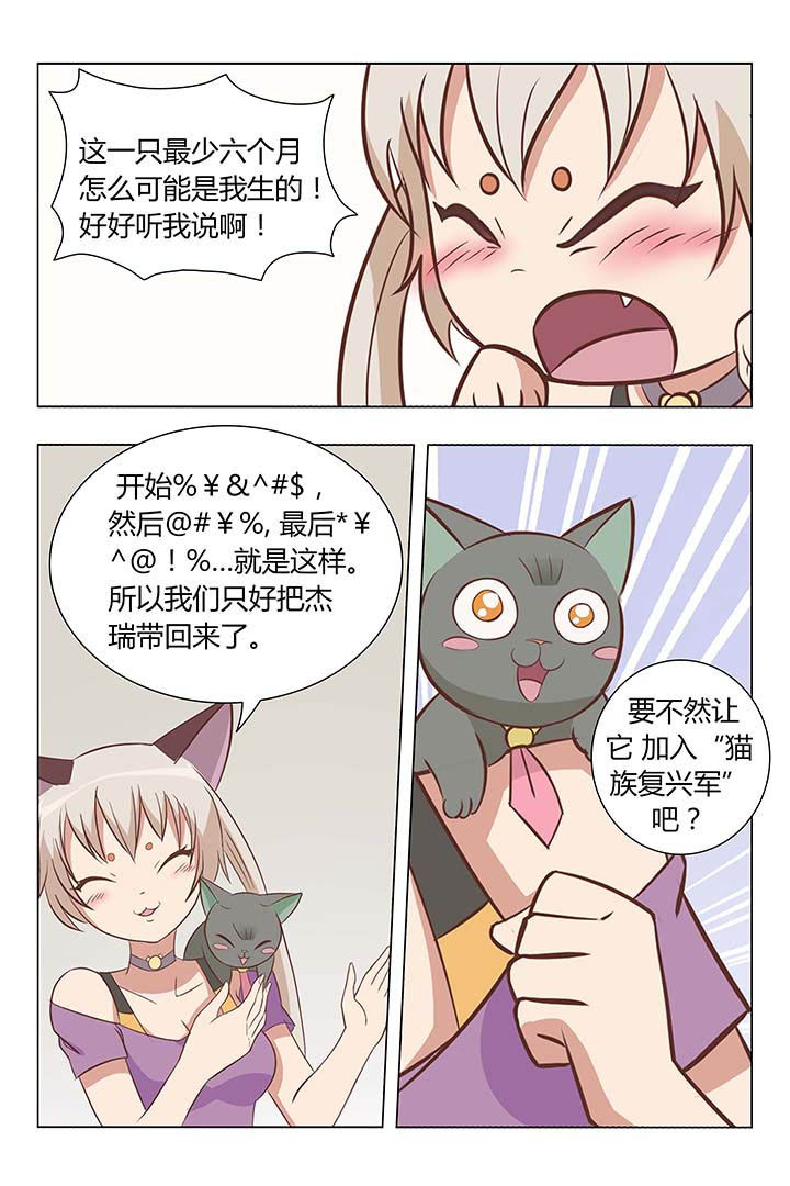 《喵即正义》漫画最新章节第5章：免费下拉式在线观看章节第【6】张图片