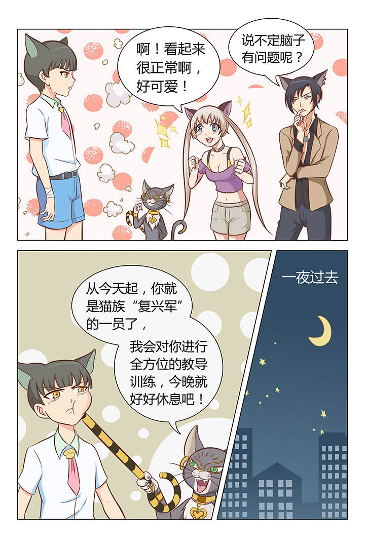 《喵即正义》漫画最新章节第6章：免费下拉式在线观看章节第【4】张图片