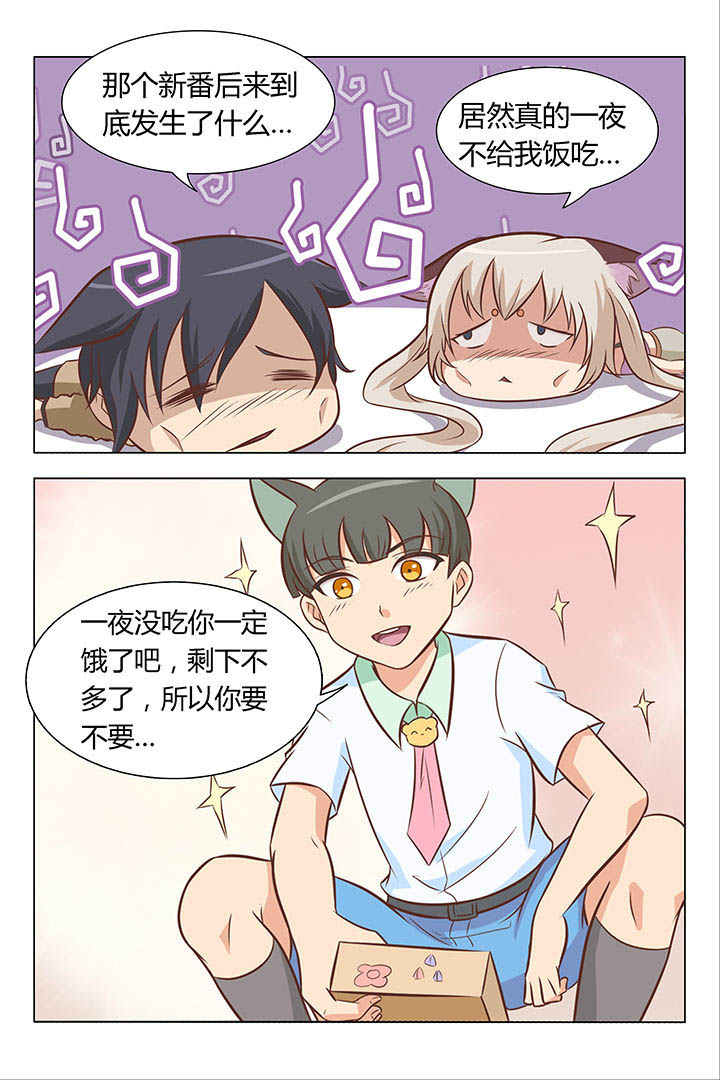 《喵即正义》漫画最新章节第6章：免费下拉式在线观看章节第【3】张图片