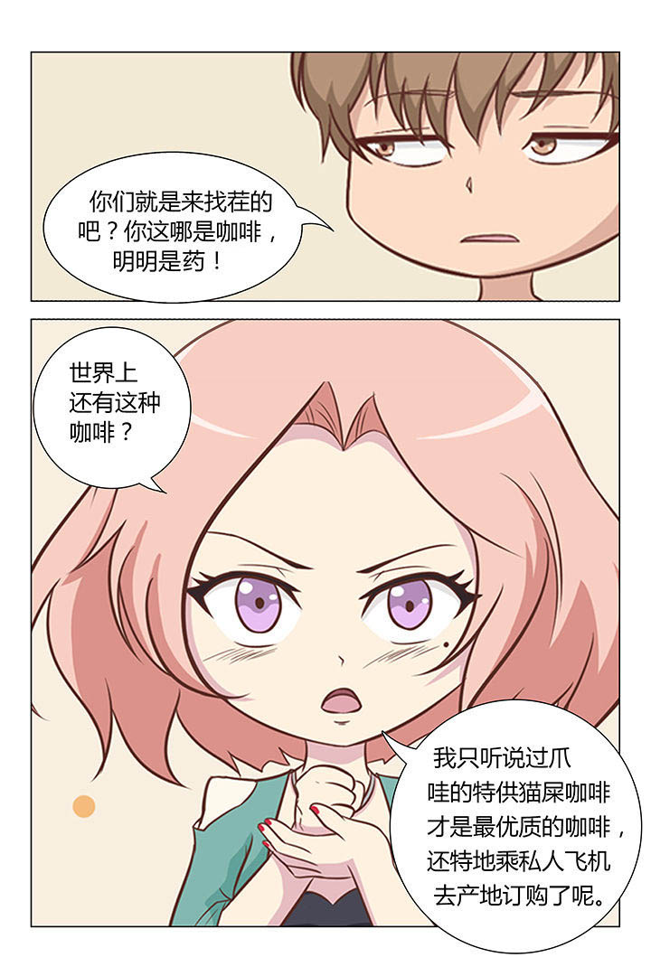 《喵即正义》漫画最新章节第7章：免费下拉式在线观看章节第【3】张图片