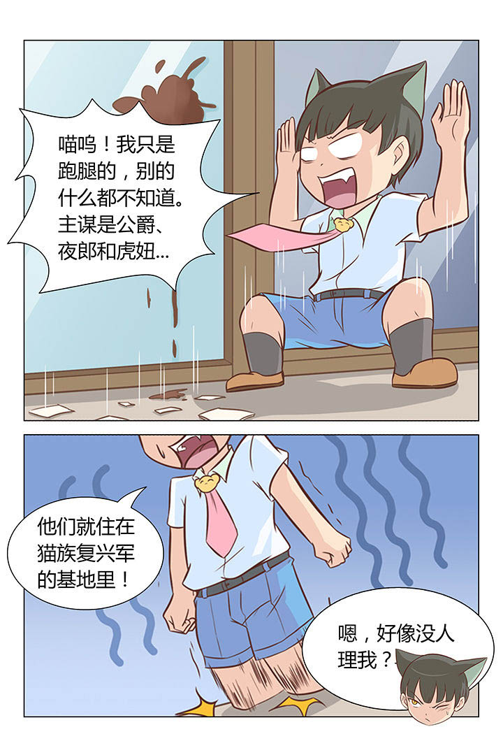 《喵即正义》漫画最新章节第7章：免费下拉式在线观看章节第【5】张图片