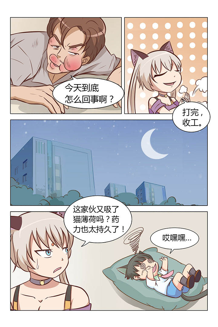 《喵即正义》漫画最新章节第15章：免费下拉式在线观看章节第【7】张图片