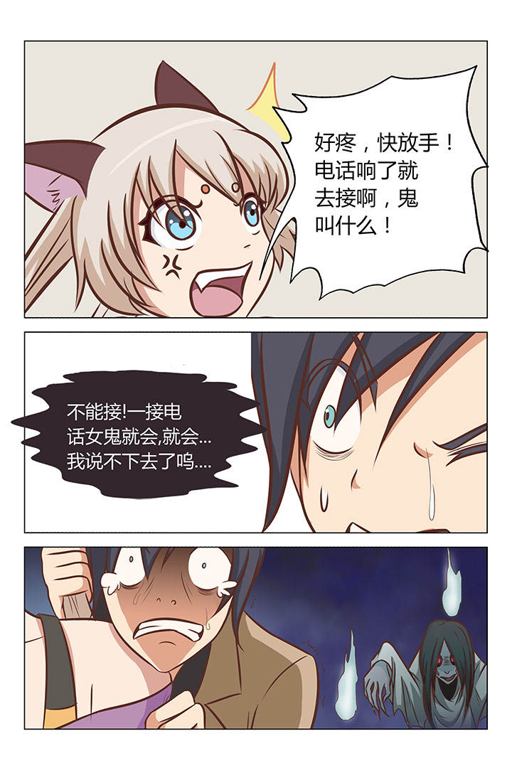 《喵即正义》漫画最新章节第15章：免费下拉式在线观看章节第【3】张图片