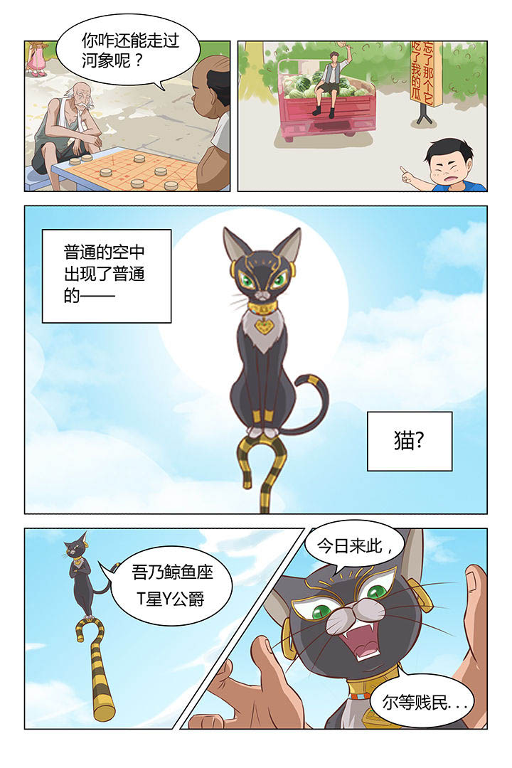 《喵即正义》漫画最新章节第17章：免费下拉式在线观看章节第【2】张图片