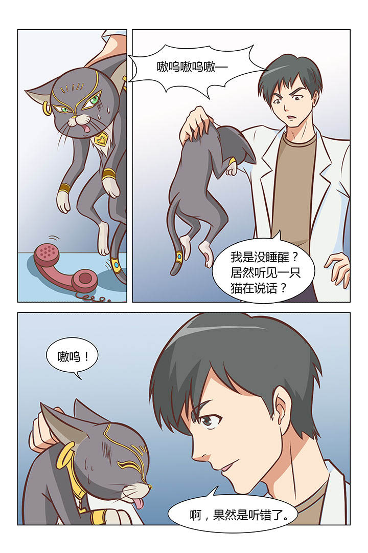 《喵即正义》漫画最新章节第17章：免费下拉式在线观看章节第【6】张图片