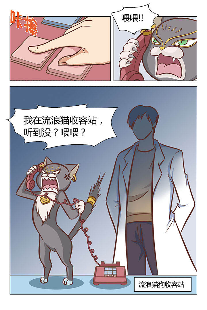 《喵即正义》漫画最新章节第17章：免费下拉式在线观看章节第【8】张图片