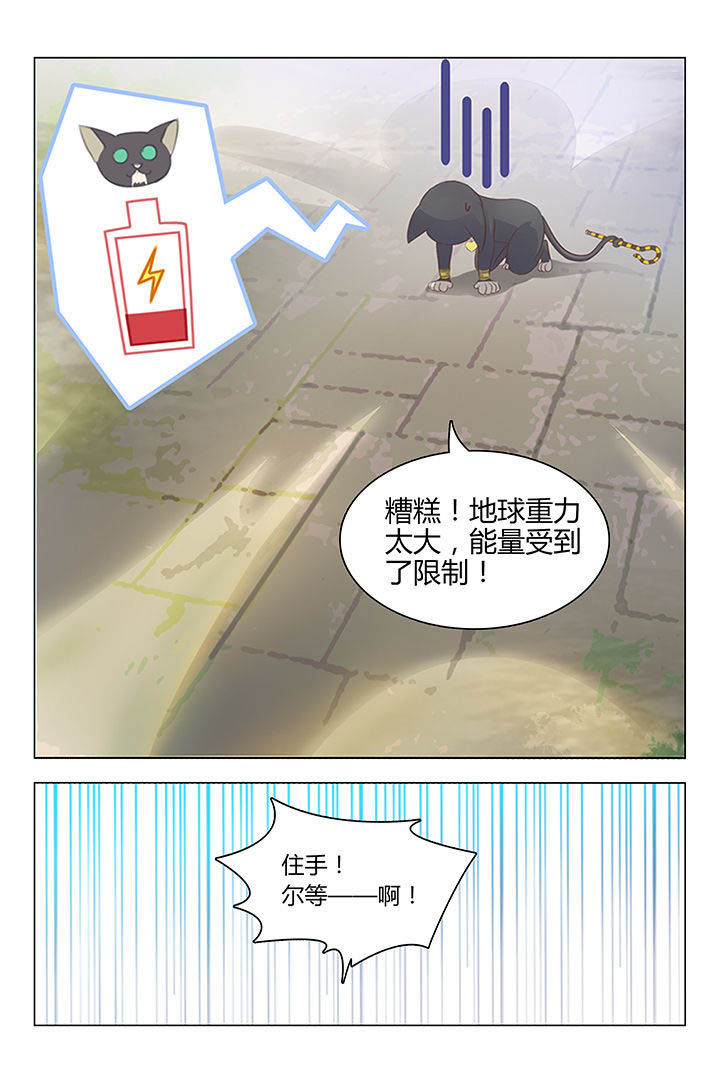 《喵即正义》漫画最新章节第20章：免费下拉式在线观看章节第【7】张图片