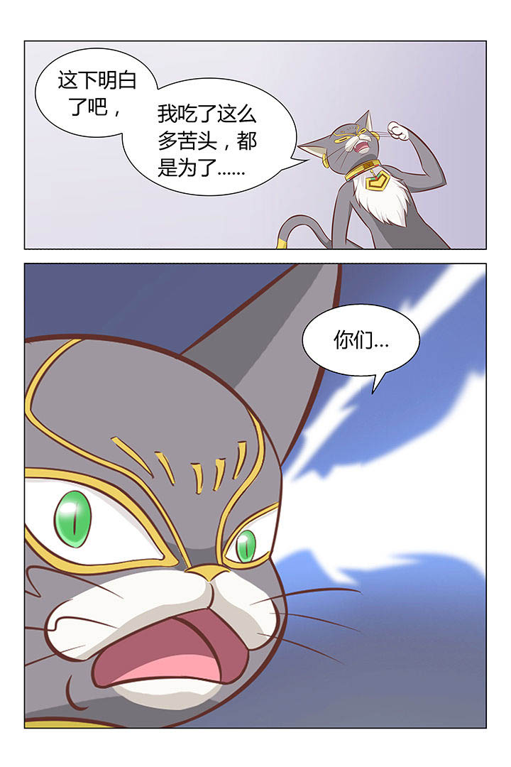 《喵即正义》漫画最新章节第20章：免费下拉式在线观看章节第【1】张图片