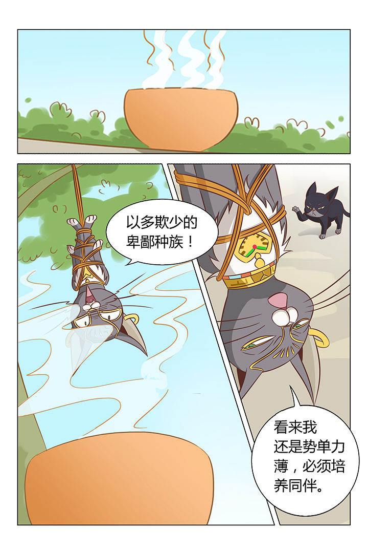 《喵即正义》漫画最新章节第20章：免费下拉式在线观看章节第【5】张图片