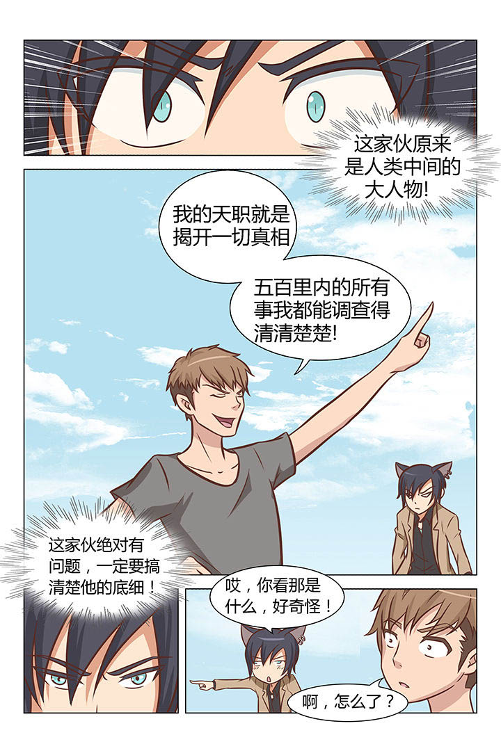 《喵即正义》漫画最新章节第24章：免费下拉式在线观看章节第【3】张图片