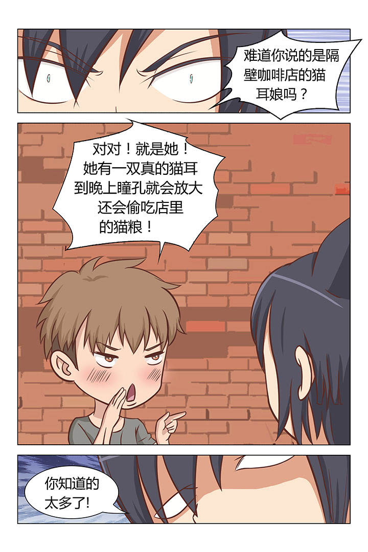 《喵即正义》漫画最新章节第25章：免费下拉式在线观看章节第【4】张图片