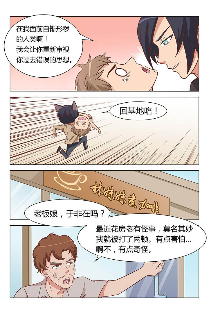 《喵即正义》漫画最新章节第27章：免费下拉式在线观看章节第【6】张图片