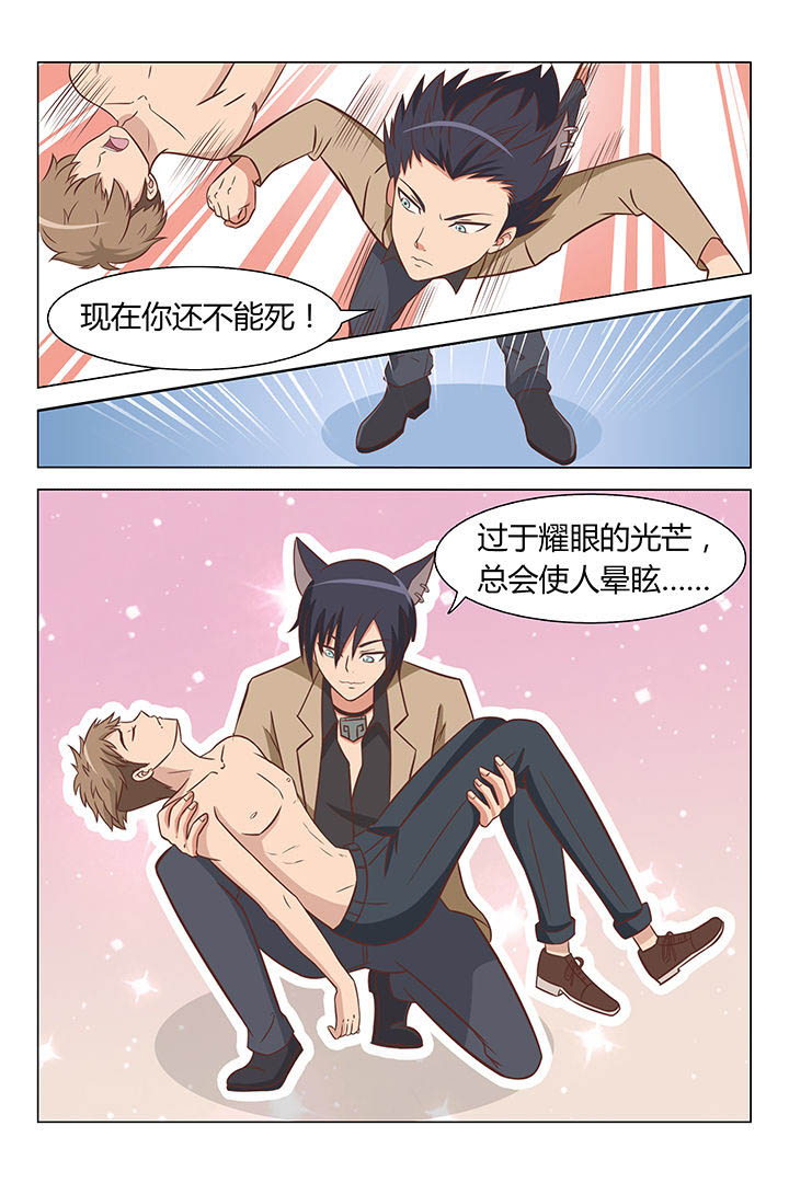 《喵即正义》漫画最新章节第27章：免费下拉式在线观看章节第【7】张图片