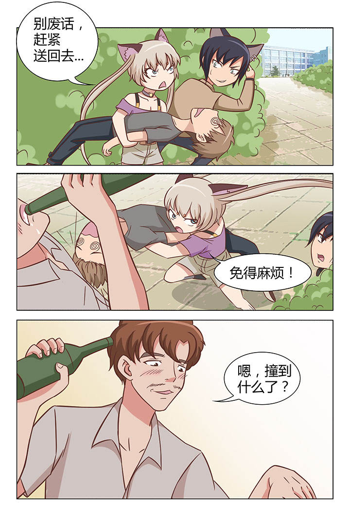 《喵即正义》漫画最新章节第28章：免费下拉式在线观看章节第【3】张图片