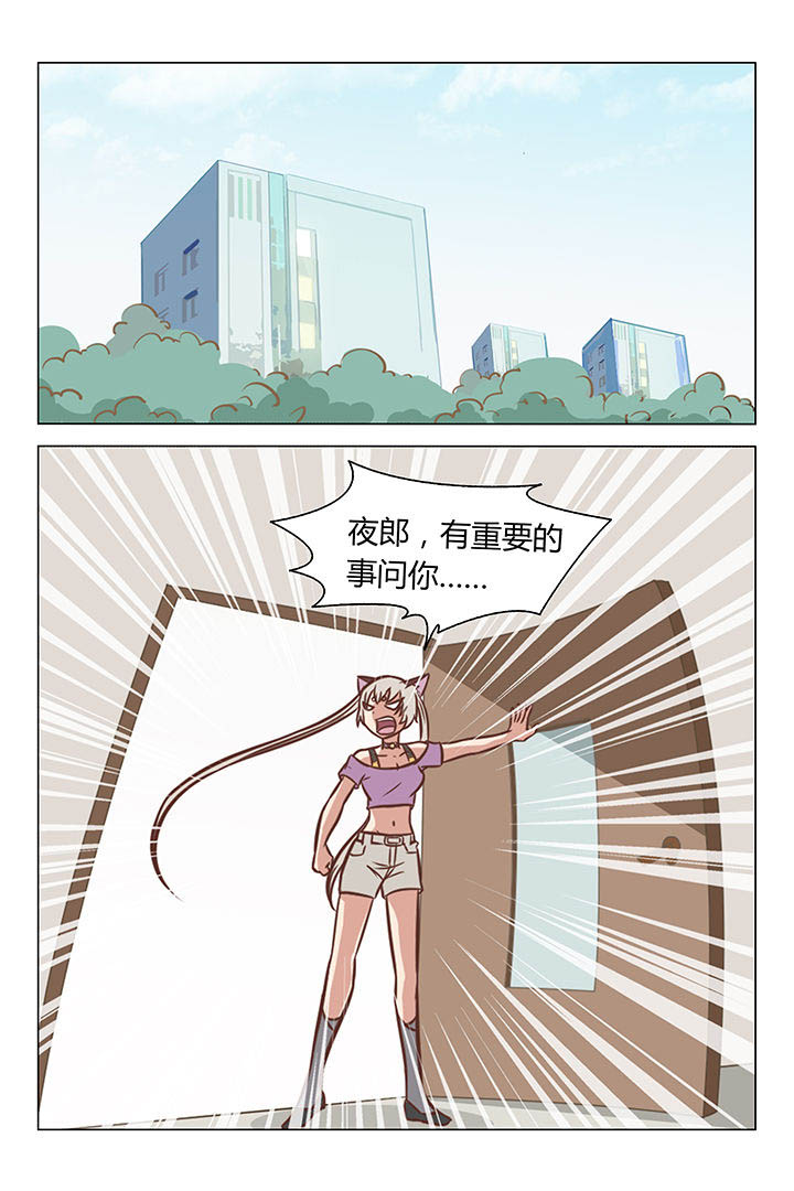 《喵即正义》漫画最新章节第28章：免费下拉式在线观看章节第【8】张图片