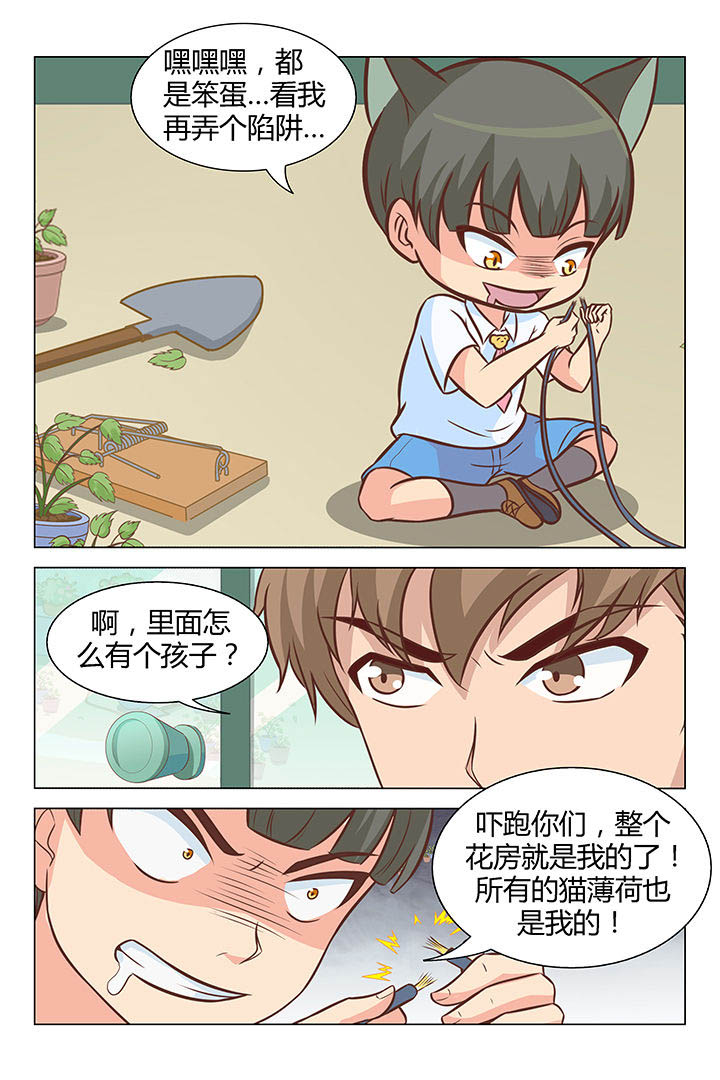 《喵即正义》漫画最新章节第30章：免费下拉式在线观看章节第【2】张图片