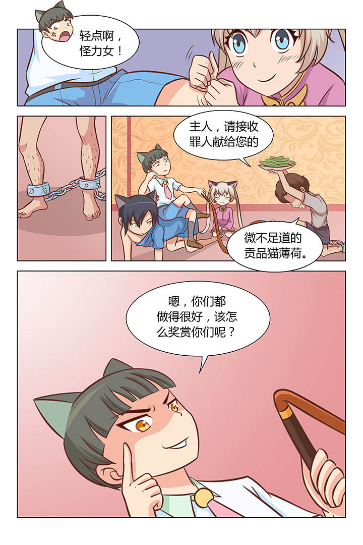 《喵即正义》漫画最新章节第31章：免费下拉式在线观看章节第【2】张图片