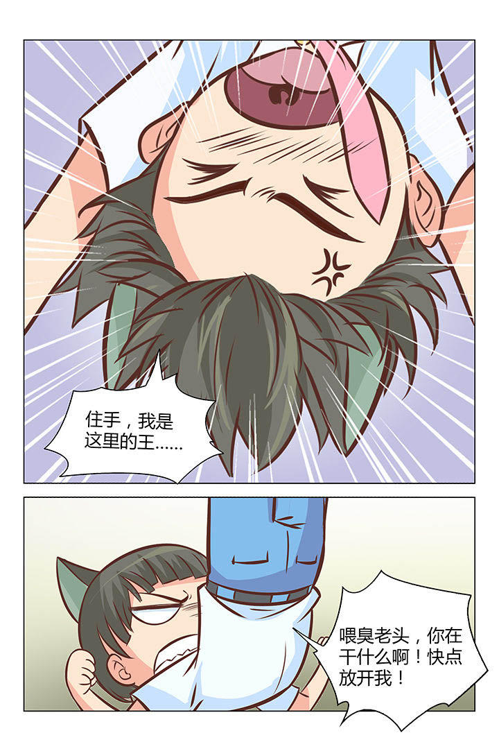 《喵即正义》漫画最新章节第32章：免费下拉式在线观看章节第【1】张图片