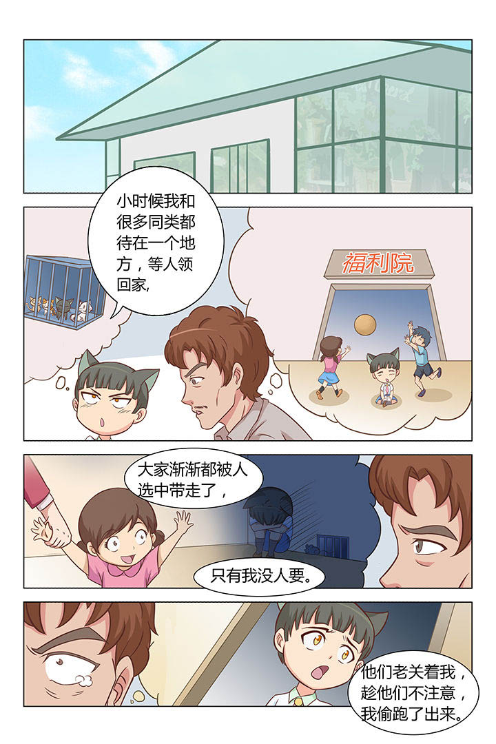 《喵即正义》漫画最新章节第33章：免费下拉式在线观看章节第【2】张图片