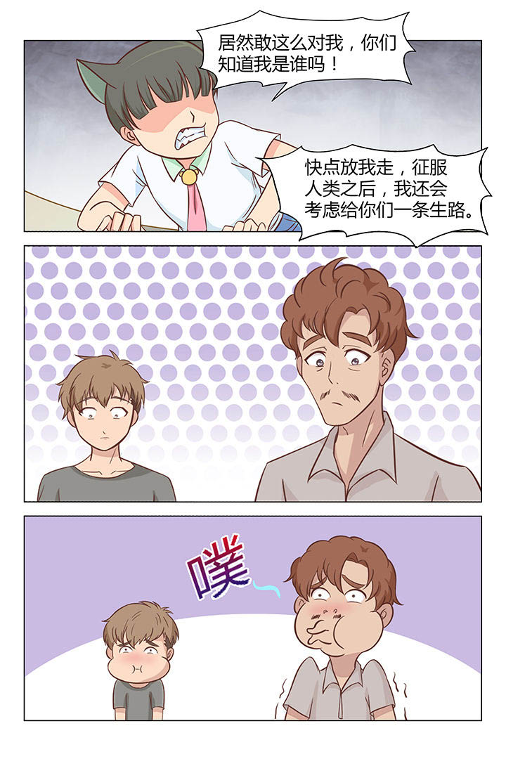 《喵即正义》漫画最新章节第33章：免费下拉式在线观看章节第【7】张图片