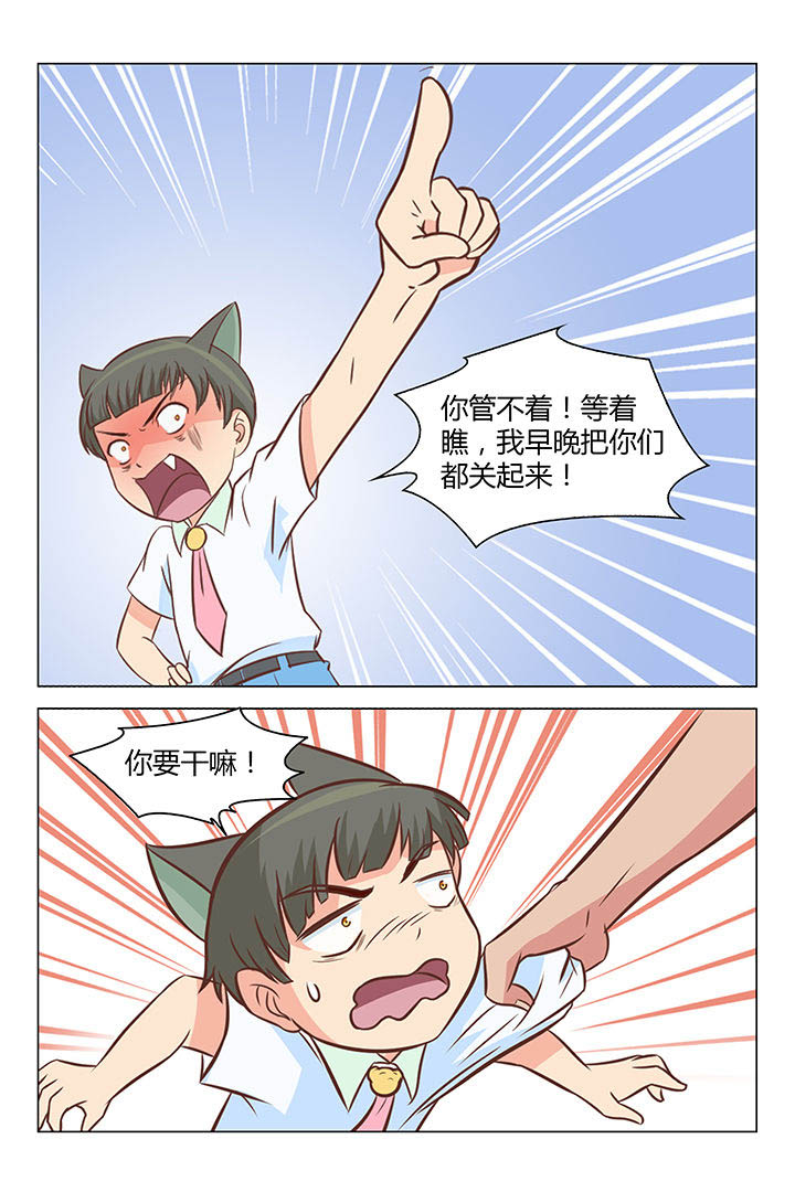 《喵即正义》漫画最新章节第33章：免费下拉式在线观看章节第【5】张图片