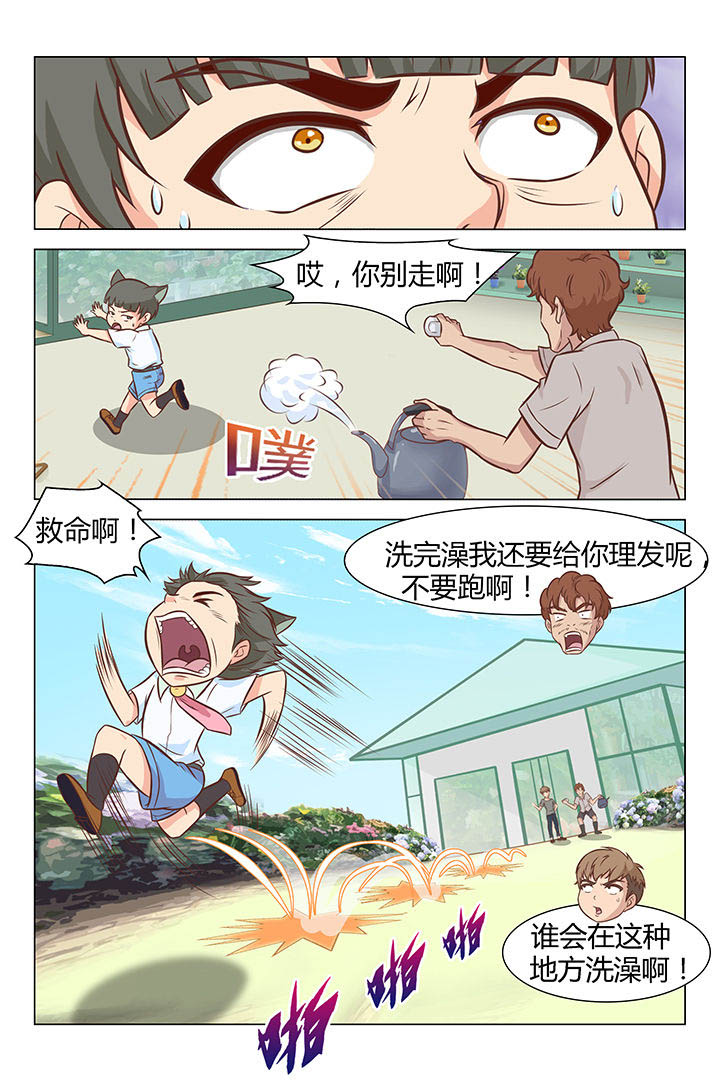 《喵即正义》漫画最新章节第34章：免费下拉式在线观看章节第【4】张图片