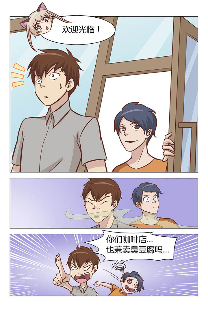 《喵即正义》漫画最新章节第34章：免费下拉式在线观看章节第【1】张图片