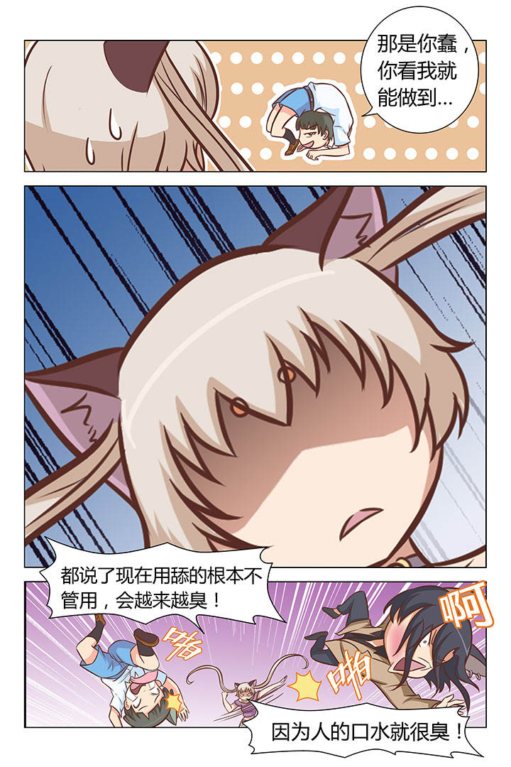 《喵即正义》漫画最新章节第35章：免费下拉式在线观看章节第【4】张图片