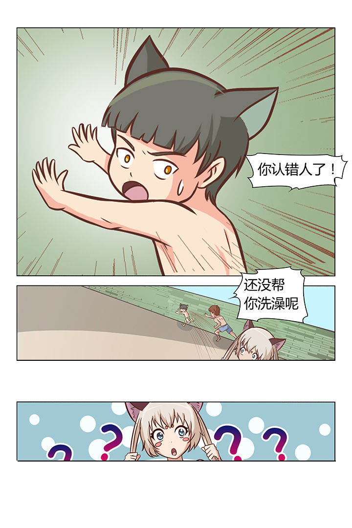 《喵即正义》漫画最新章节第36章：免费下拉式在线观看章节第【1】张图片