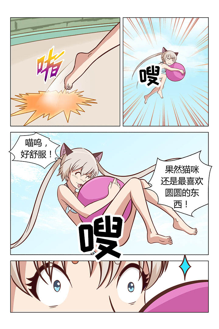 《喵即正义》漫画最新章节第37章：免费下拉式在线观看章节第【6】张图片