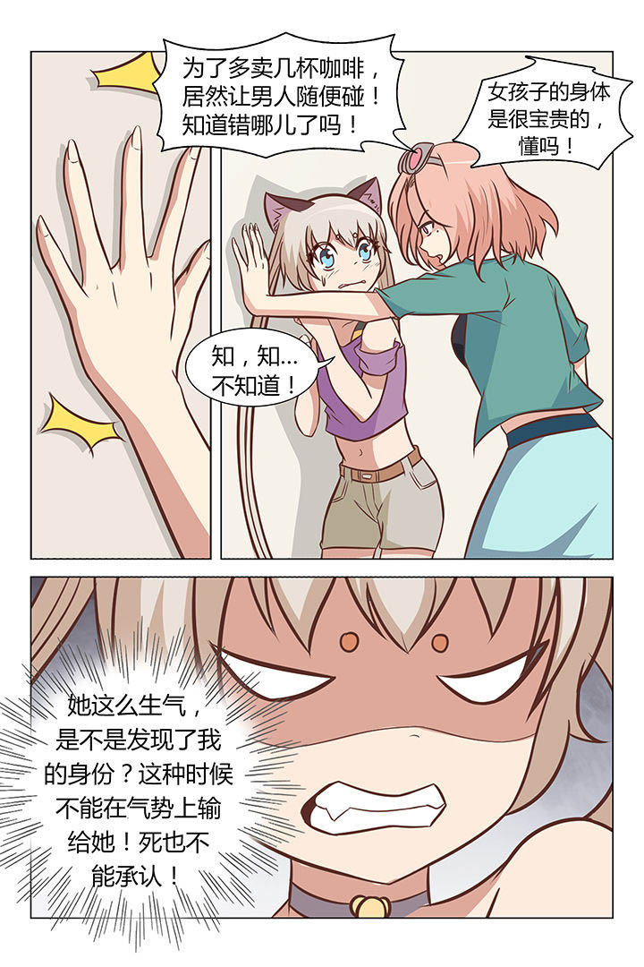 《喵即正义》漫画最新章节第41章：免费下拉式在线观看章节第【3】张图片