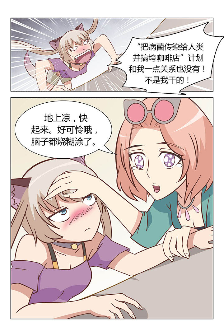 《喵即正义》漫画最新章节第41章：免费下拉式在线观看章节第【2】张图片