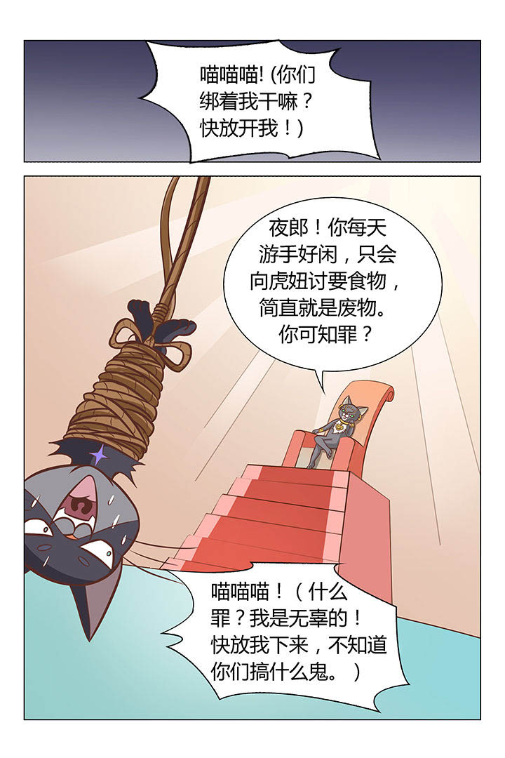 《喵即正义》漫画最新章节第42章：免费下拉式在线观看章节第【6】张图片