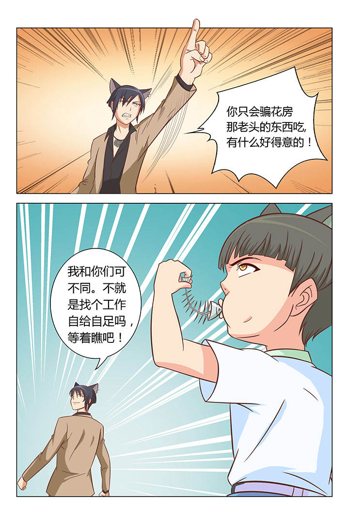 《喵即正义》漫画最新章节第43章：免费下拉式在线观看章节第【6】张图片