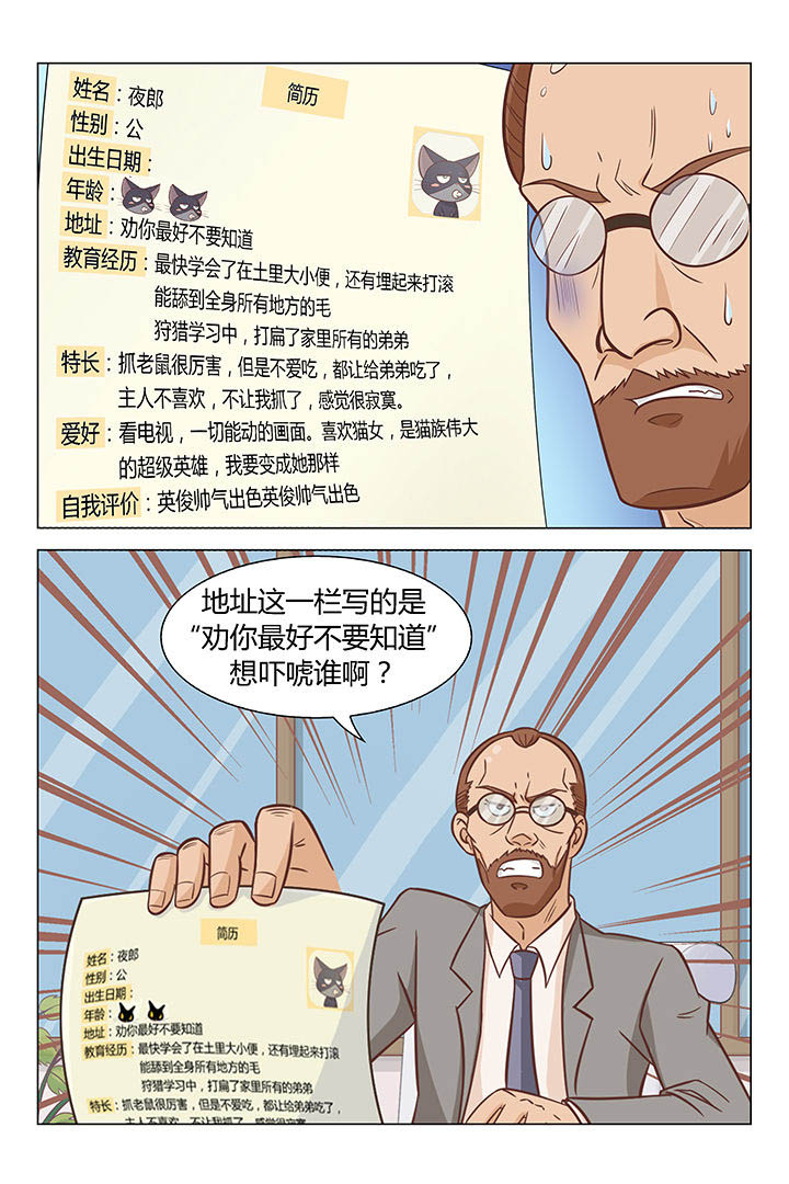 《喵即正义》漫画最新章节第43章：免费下拉式在线观看章节第【4】张图片