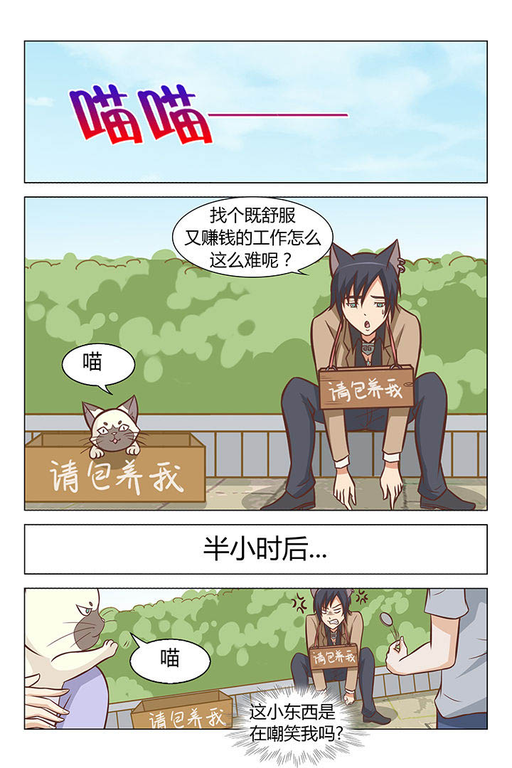 《喵即正义》漫画最新章节第45章：免费下拉式在线观看章节第【8】张图片